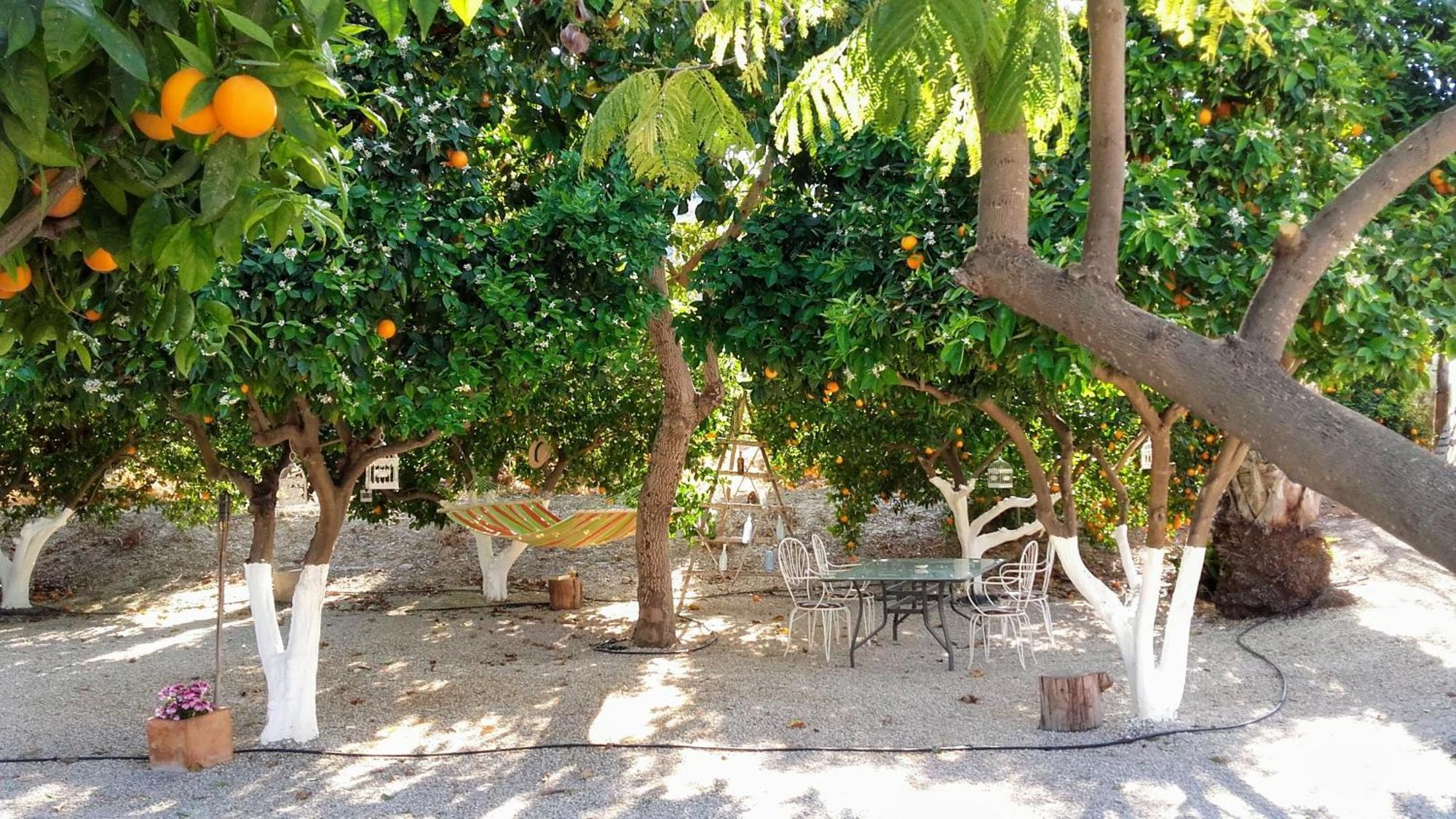 La Joya Del Valle De Ricote (Adults Only) Villanueva de Río Segura エクステリア 写真