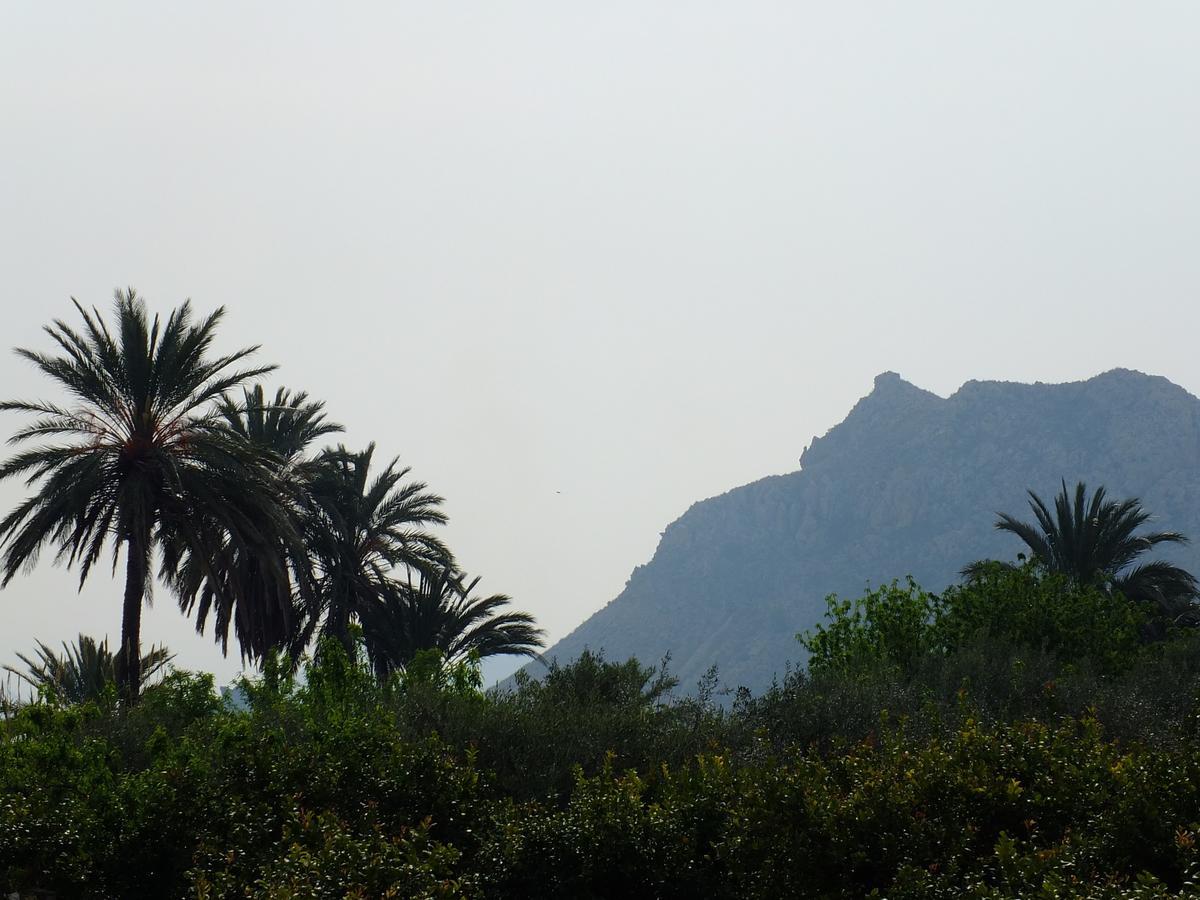 La Joya Del Valle De Ricote (Adults Only) Villanueva de Río Segura エクステリア 写真