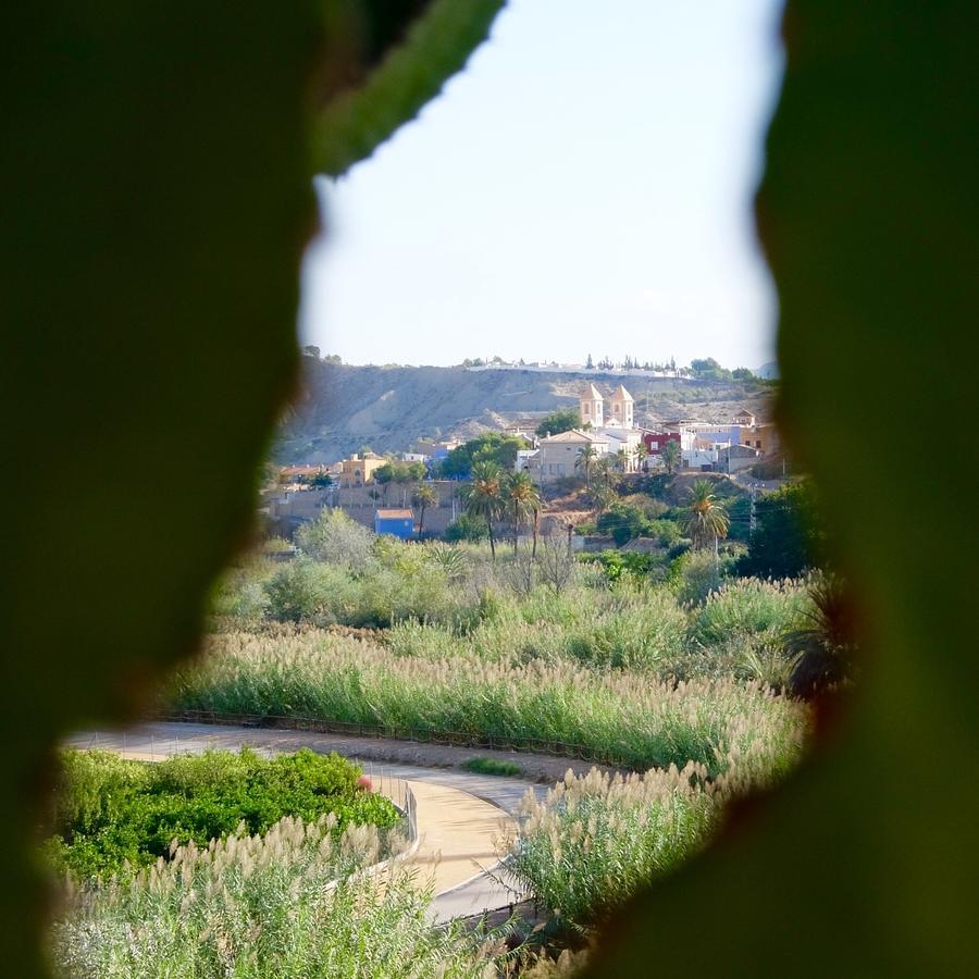 La Joya Del Valle De Ricote (Adults Only) Villanueva de Río Segura エクステリア 写真